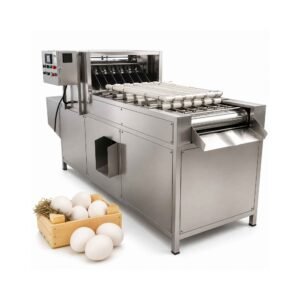 Automatic-Chicken-Eggs-Peeling-Machine