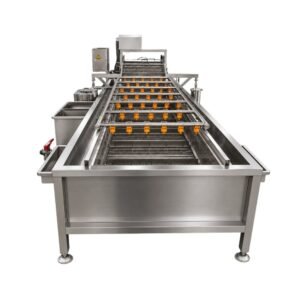 Fruit-Washing-Machine-1000-Kg