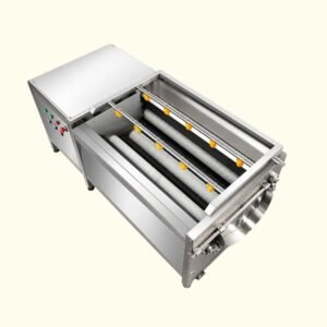 Fruit Washing Machine