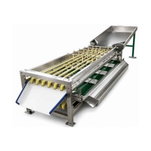 Garlic-Grading-Machine