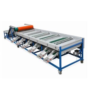 Garlic-Grading-Machine-200-Kg